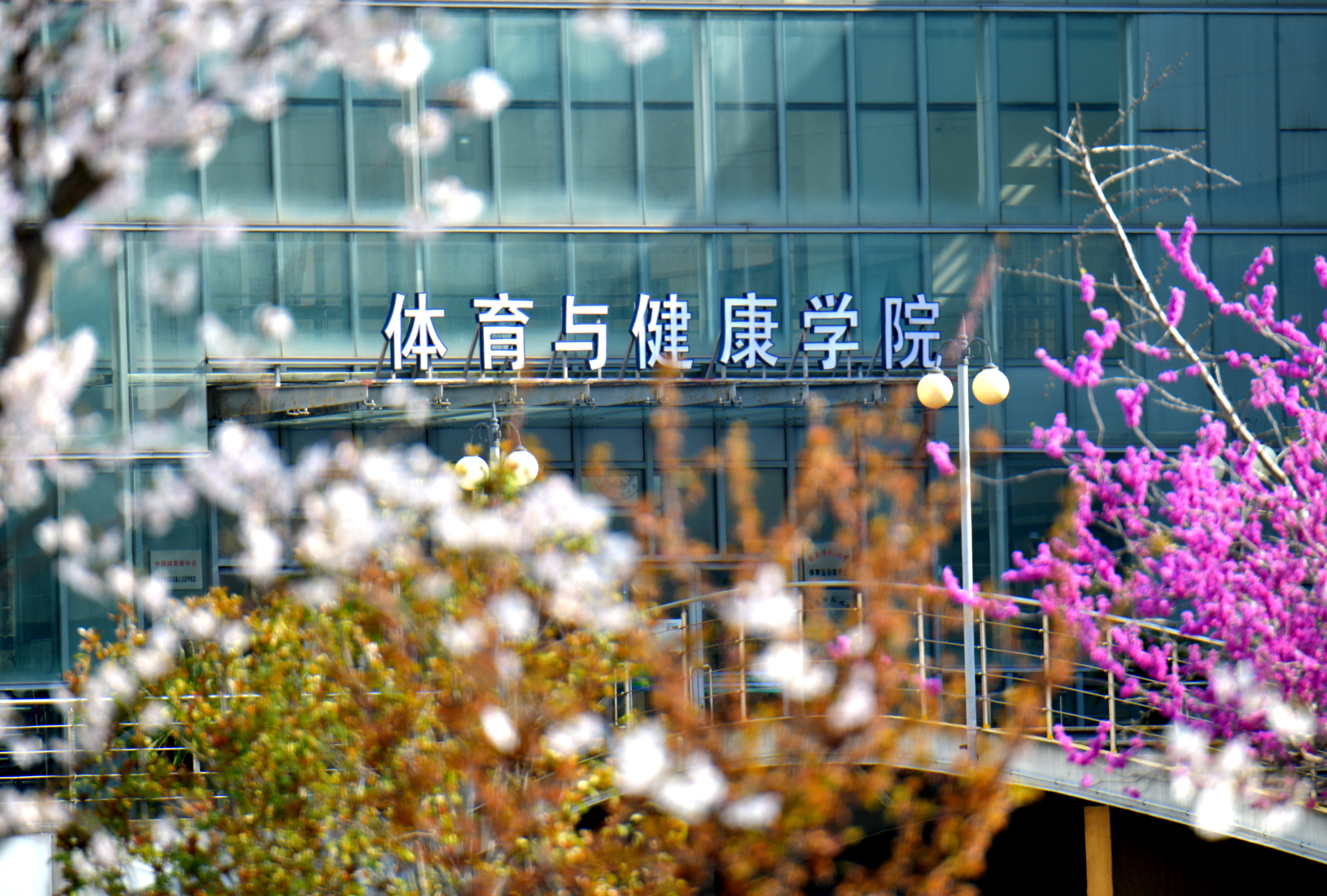 世俱杯官方平台